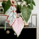House Plant Leaf Blade Kitchen Cleaning Cloth