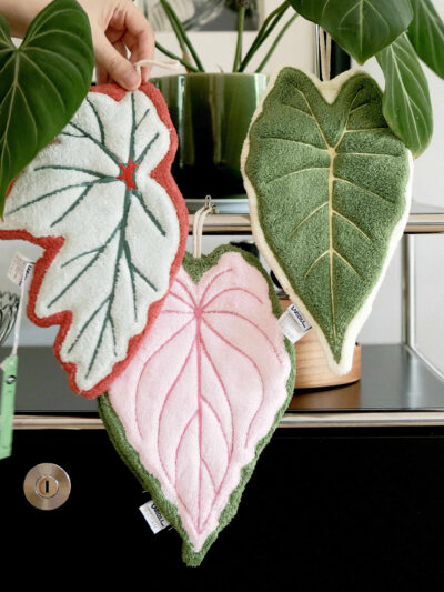 House Plant Leaf Blade Kitchen Cleaning Cloth